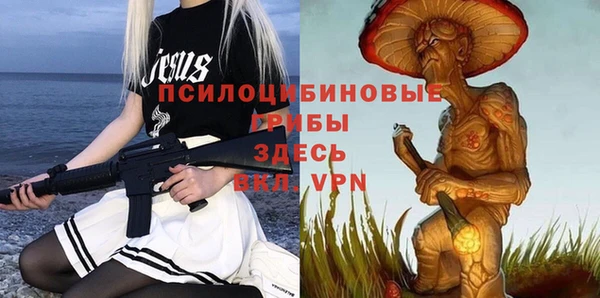 прущий лед Ветлуга