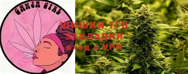 крисы Протвино