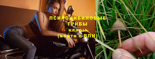 гашиш Пролетарск