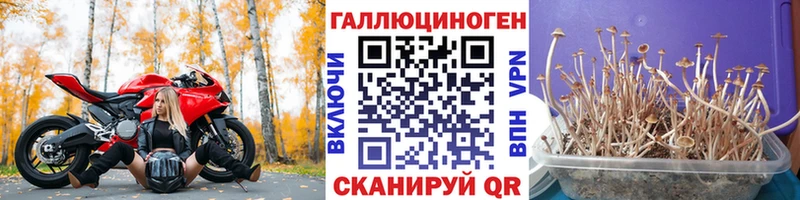 Галлюциногенные грибы GOLDEN TEACHER  Емва 